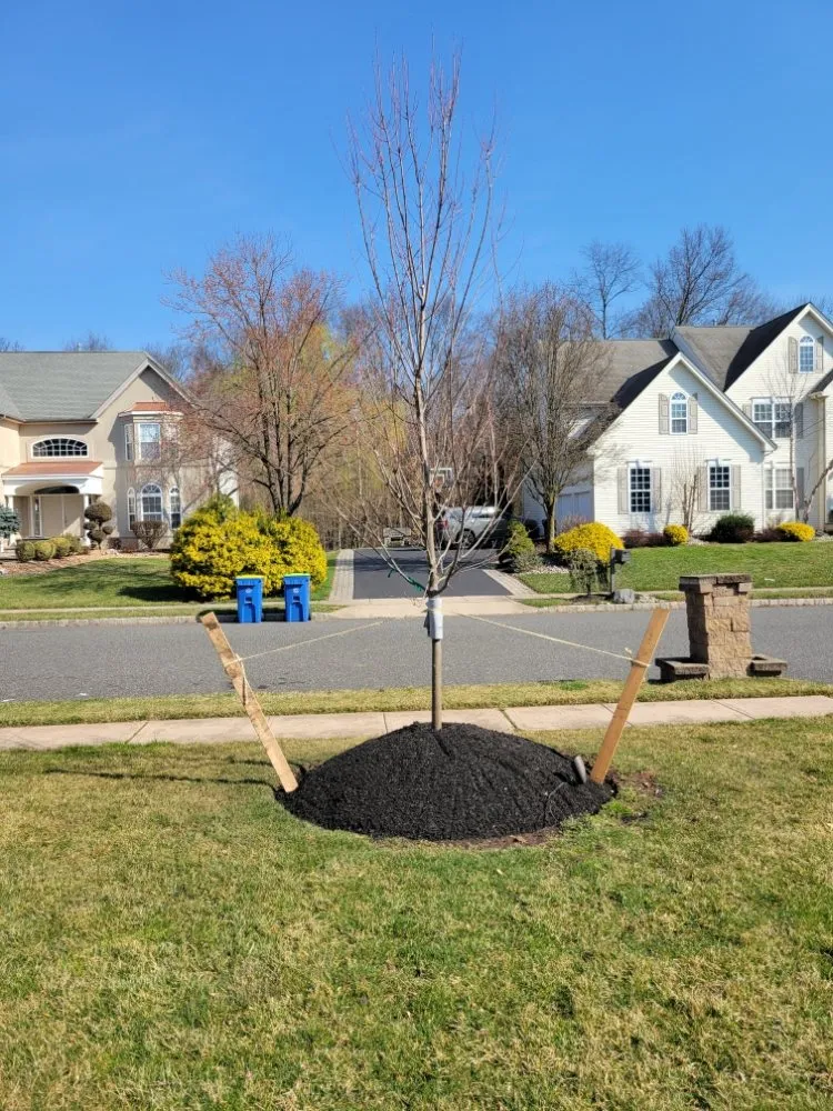 Custom outdoor landscaping for residential properties in New Brunswick, NJ by F Quiroz Landscaping