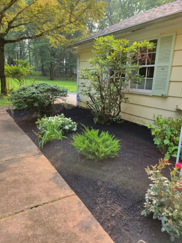 Affordable lawn care service for beautiful yards across New Brunswick, NJ - F Quiroz Landscaping