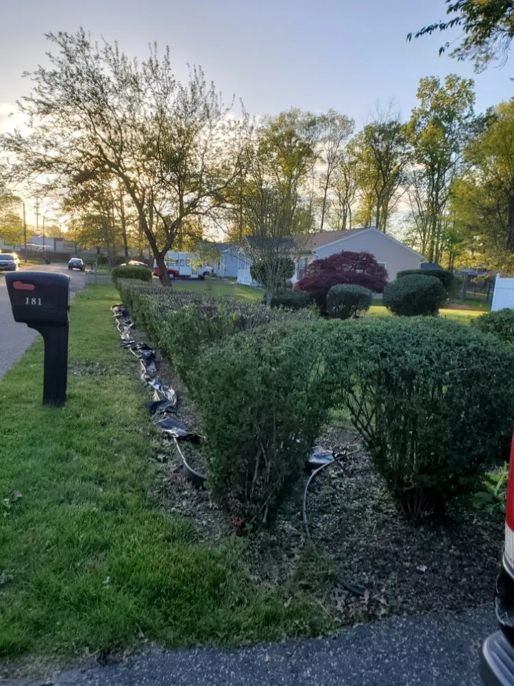 Top-rated outdoor landscaping experts serving New Brunswick, NJ - F Quiroz Landscaping