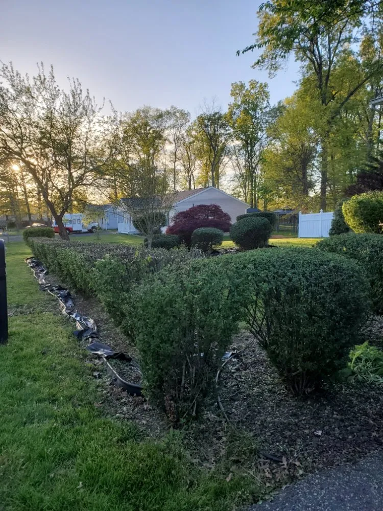 Affordable yard cleanup service in New Brunswick, NJ - F Quiroz Landscaping