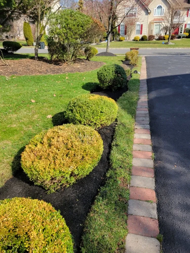 Reliable lawn mowing service experts serving New Brunswick, NJ - F Quiroz Landscaping