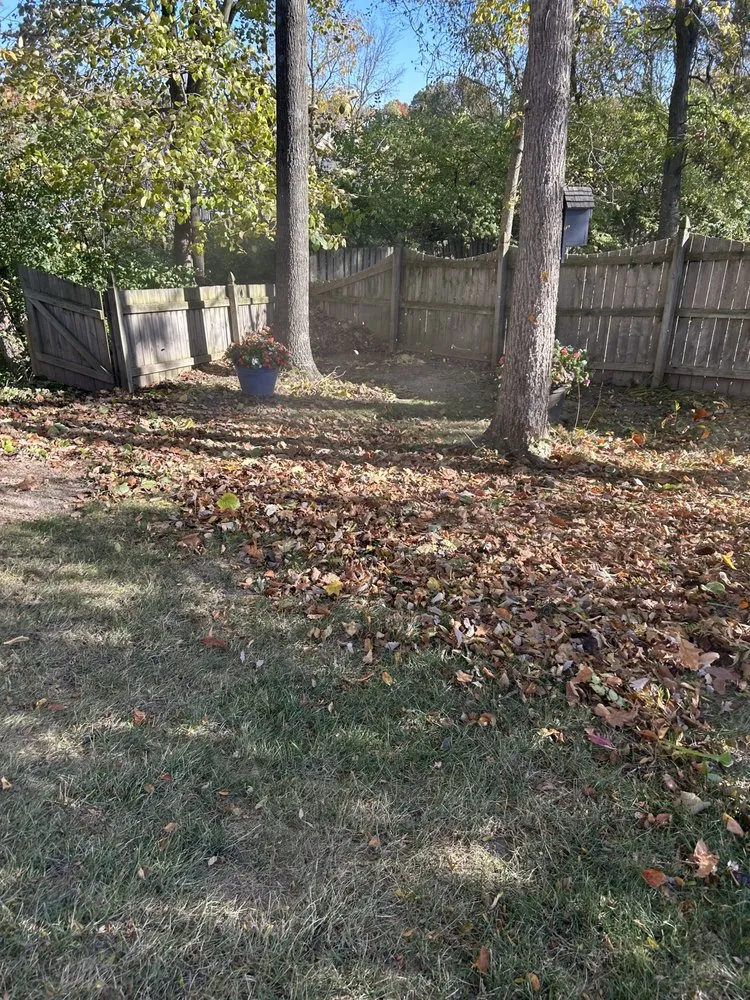 Custom residential landscaping for outdoor upgrades in Indianapolis city (balance), IN by F Torres Landscaping