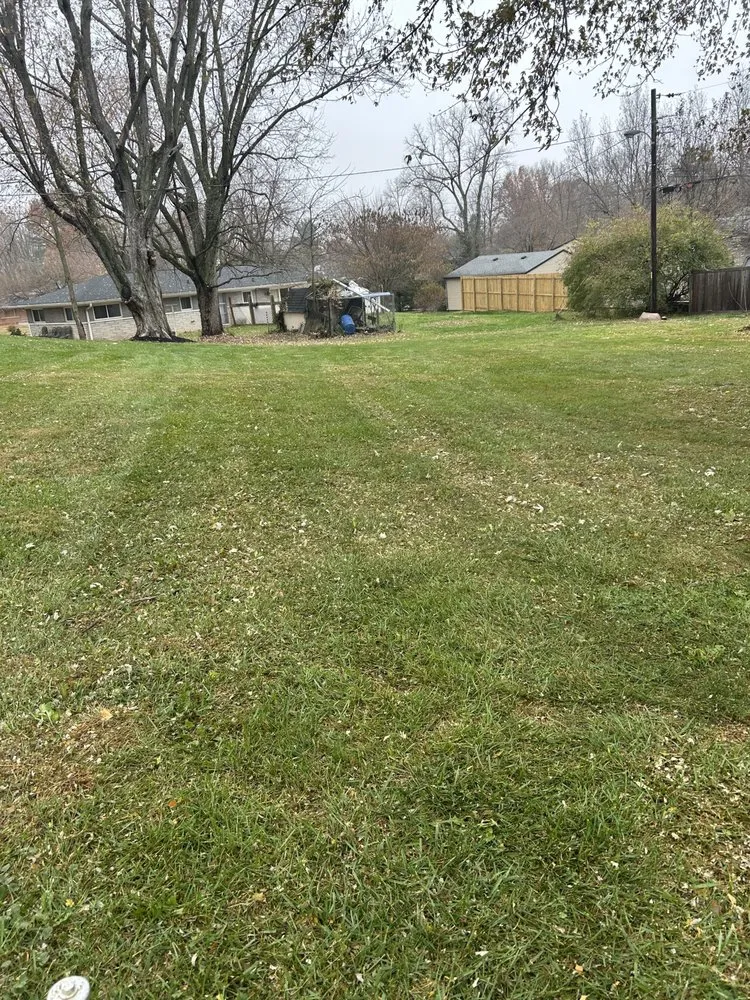 Custom landscape installation experts serving Indianapolis city (balance), IN - F Torres Landscaping