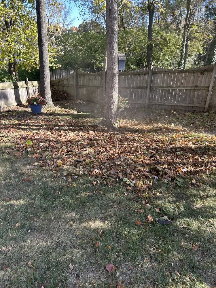 Reliable garden landscaping in Indianapolis city (balance), IN - F Torres Landscaping