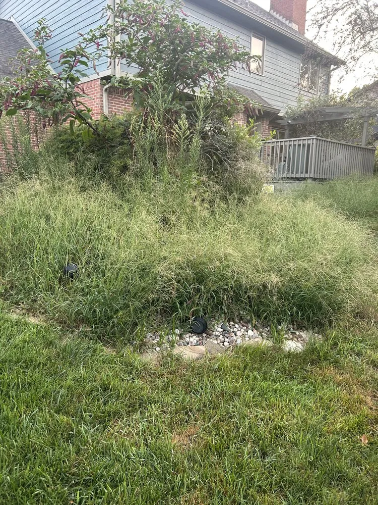 Local outdoor landscaping for year-round maintenance across Indianapolis city (balance), IN - F Torres Landscaping
