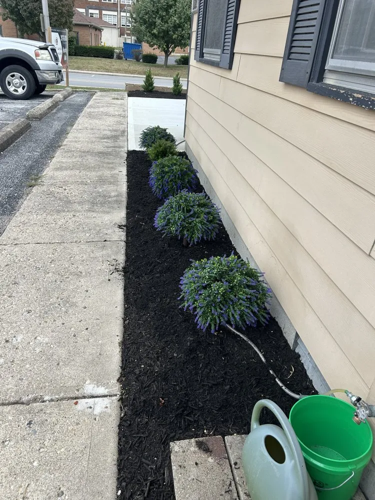 Reliable residential landscaping in Indianapolis city (balance), IN by F Torres Landscaping