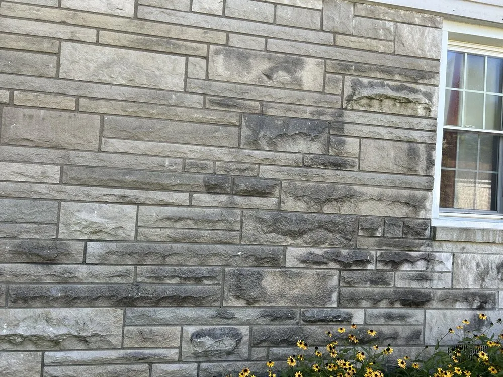 Affordable yard cleanup service experts serving Indianapolis city (balance), IN - F Torres Landscaping