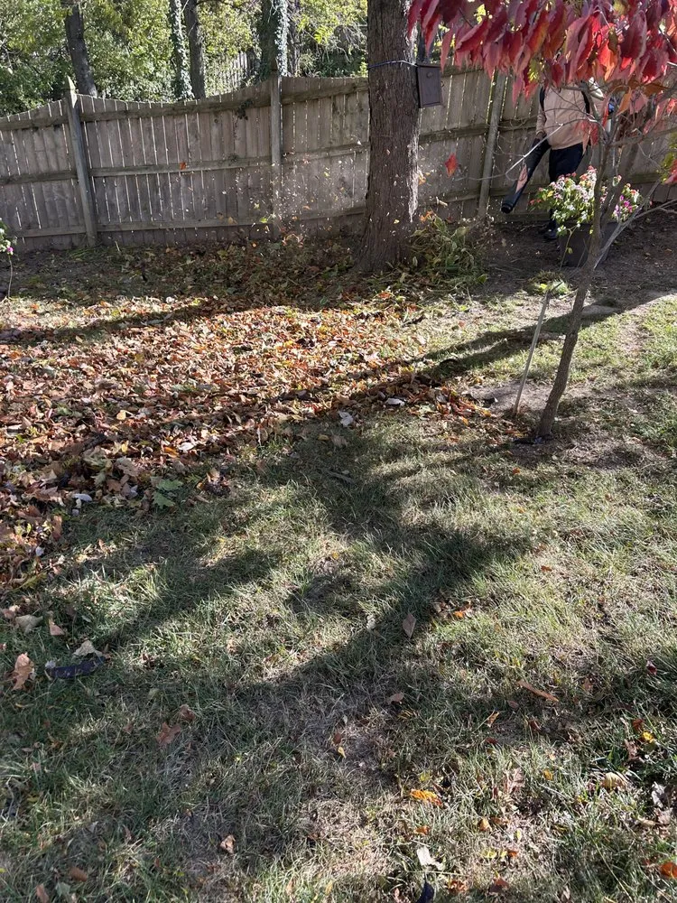 Custom landscape installation experts serving Indianapolis city (balance), IN - F Torres Landscaping