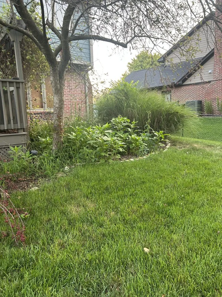 Trusted landscape installation experts serving Indianapolis city (balance), IN - F Torres Landscaping
