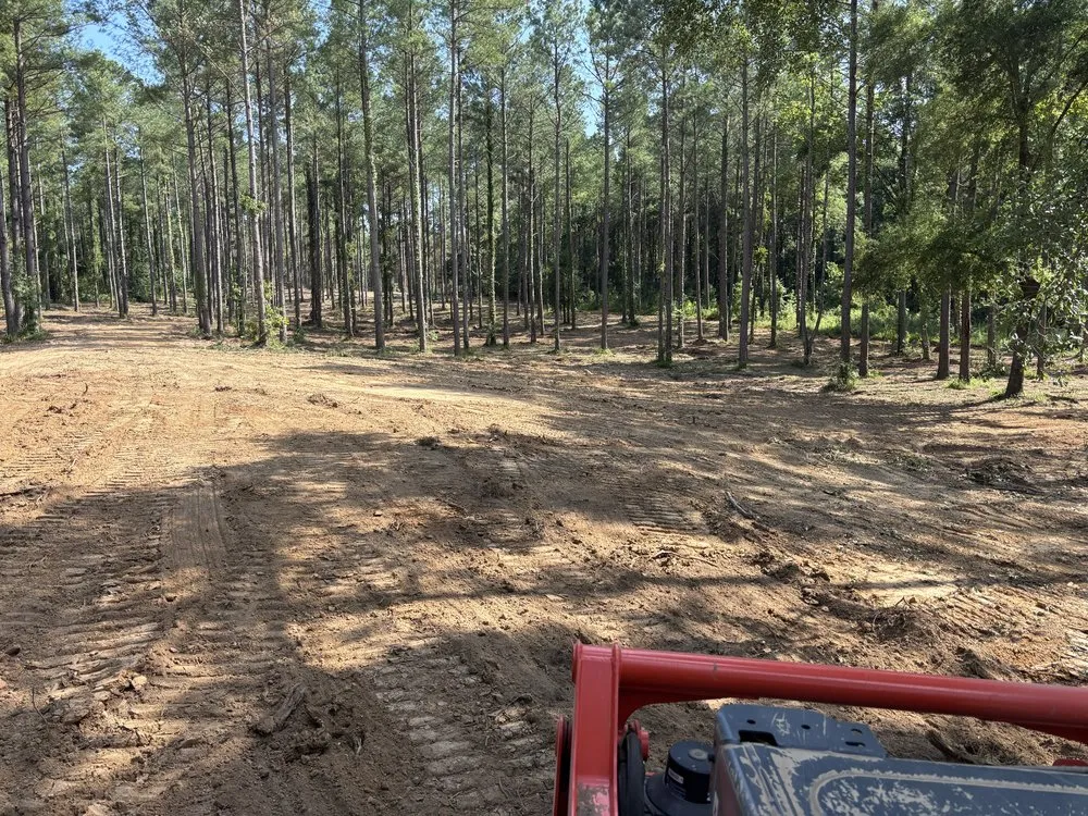 Professional outdoor landscaping in Charleston, MS - F2 Construction