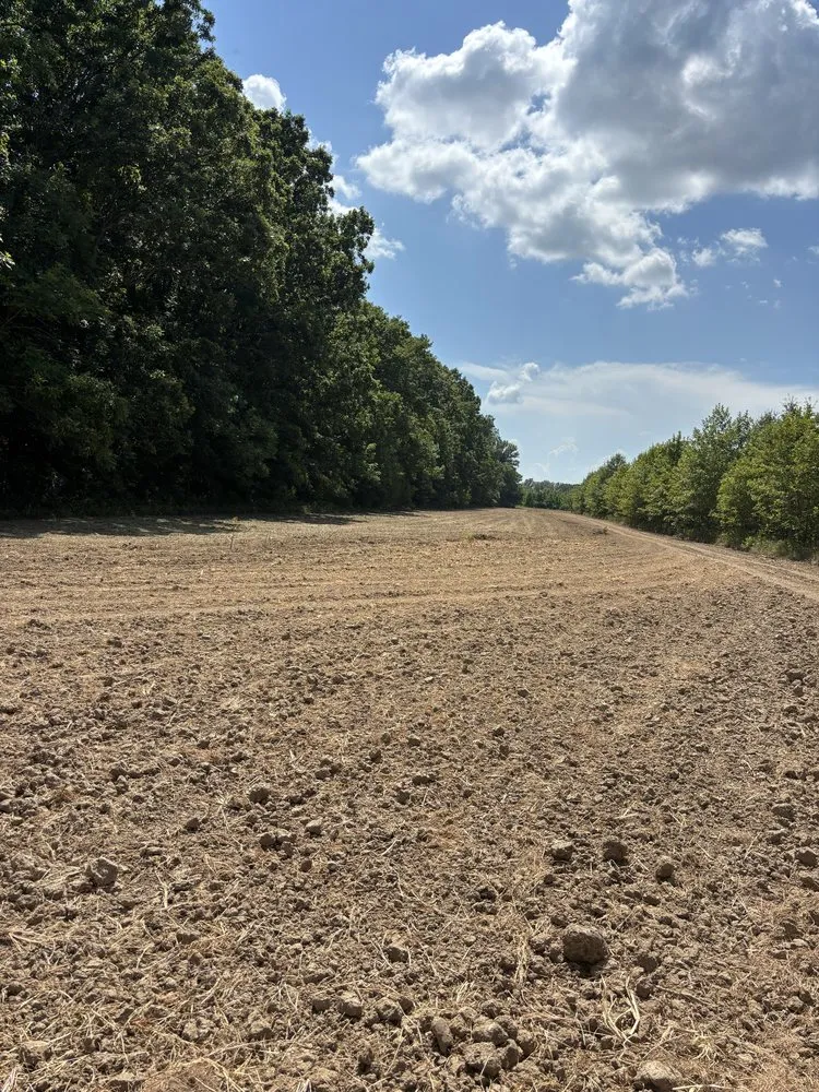 Custom residential landscaping experts serving Charleston, MS - F2 Construction