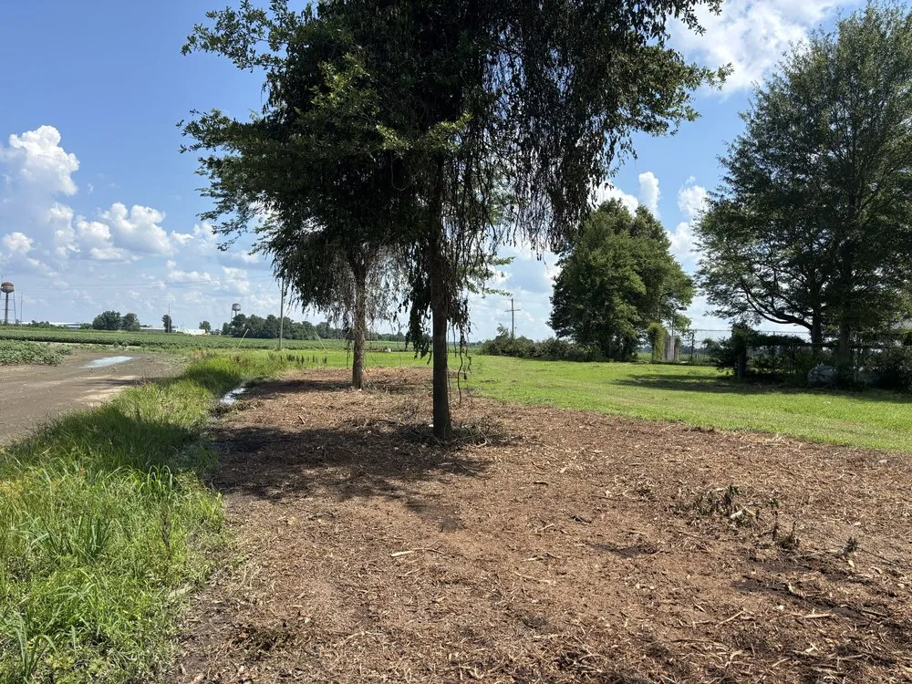 Trusted yard maintenance in Charleston, MS - F2 Construction