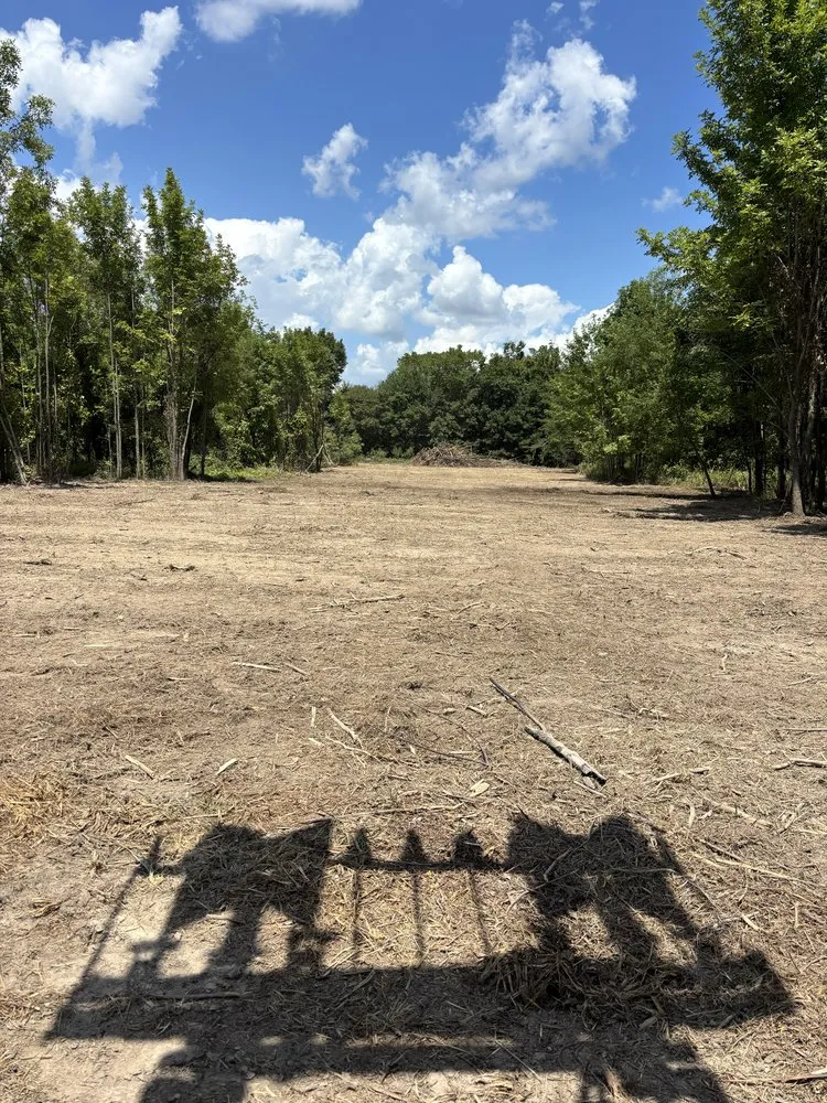 Professional landscaping services in Charleston, MS - F2 Construction