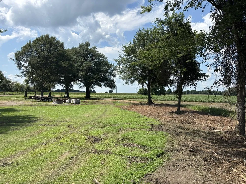 Reliable landscape installation for year-round maintenance across Charleston, MS - F2 Construction