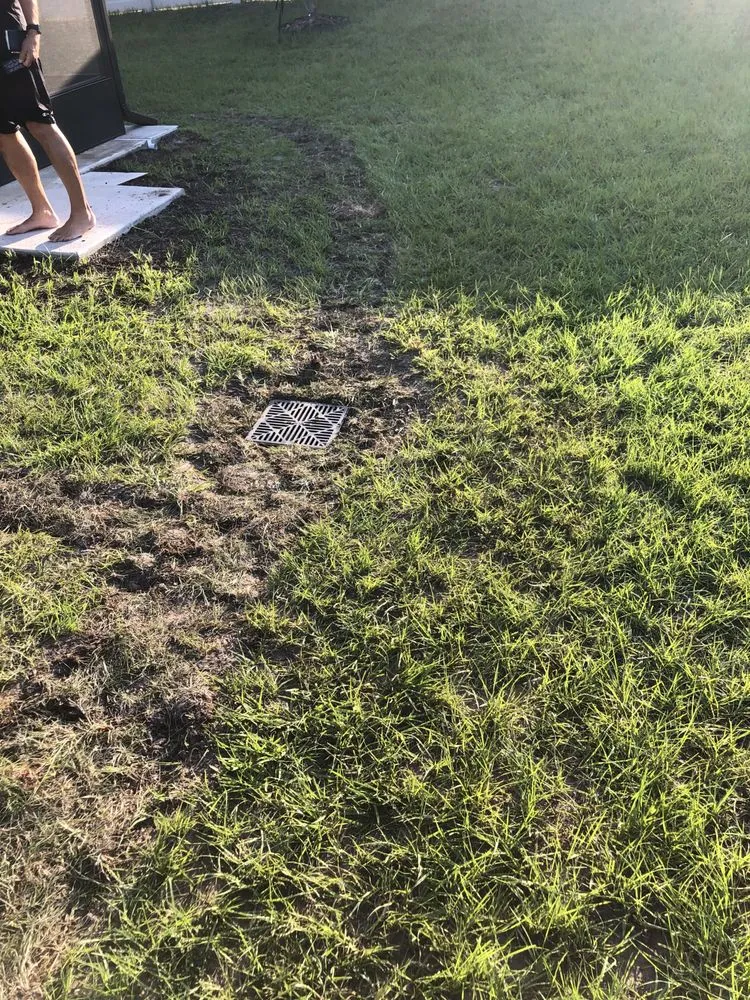 Professional yard cleanup service in Haines City, FL - F&A Espinosa services