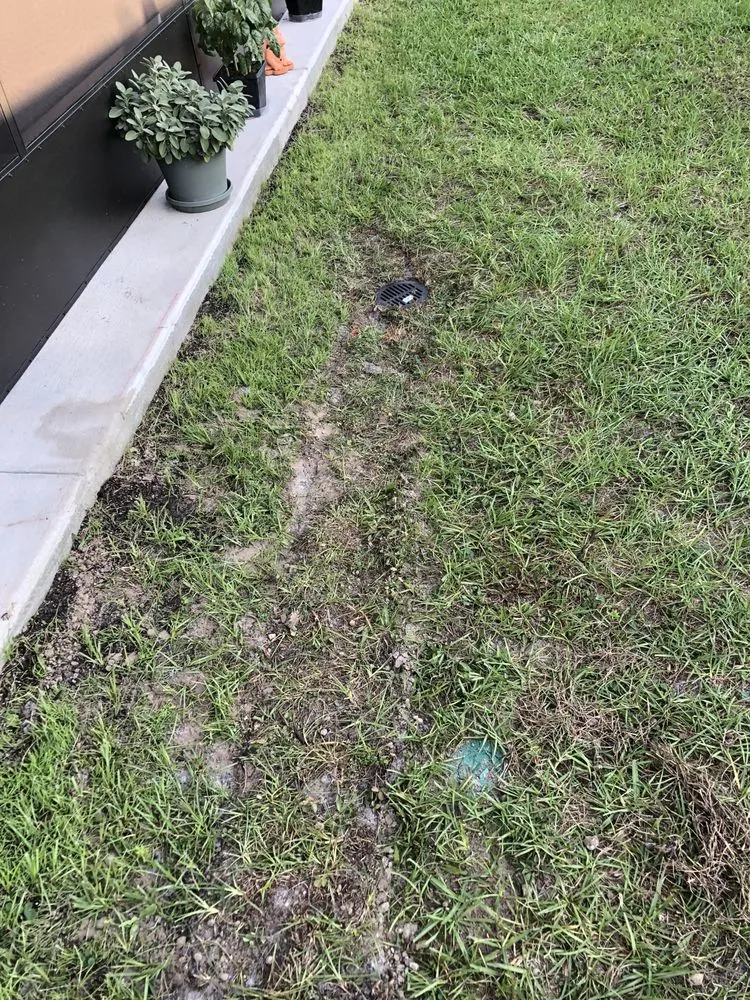 Affordable yard cleanup service in Haines City, FL - F&A Espinosa services