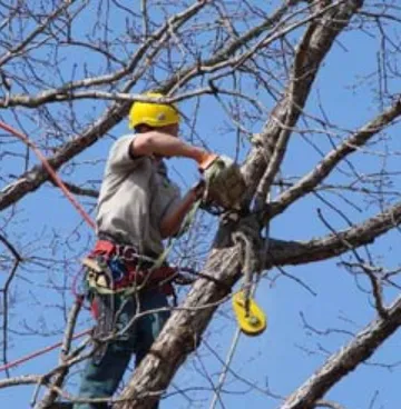 Professional lawn care service experts serving Cleveland, TX - Fa General Solutions