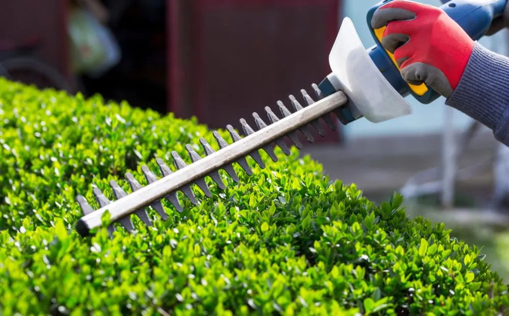 Top-rated yard cleanup service experts serving Cleveland, TX - Fa General Solutions