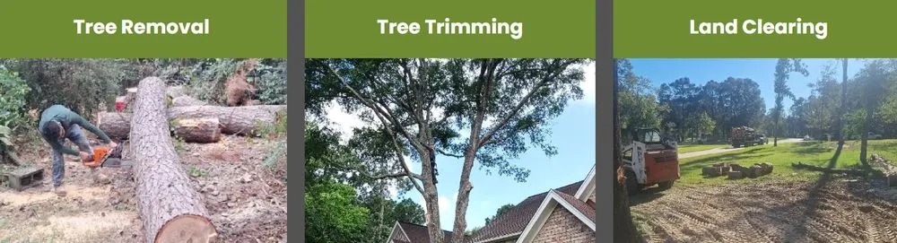 Local outdoor landscaping with custom design in Cleveland, TX by Fa General Solutions