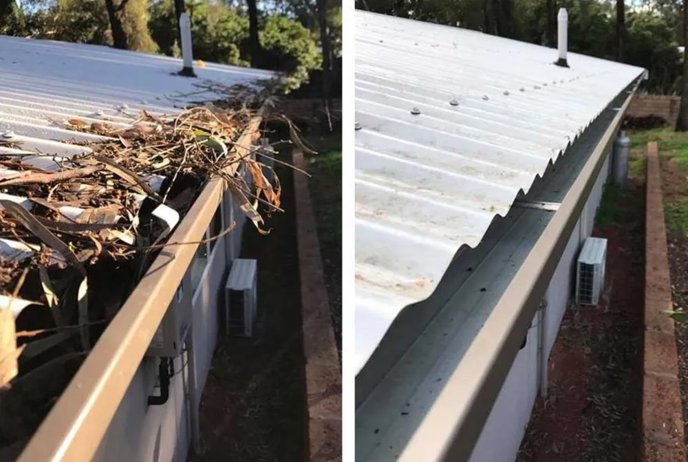 Expert lawn care service for year-round maintenance across Cleveland, TX - Fa General Solutions