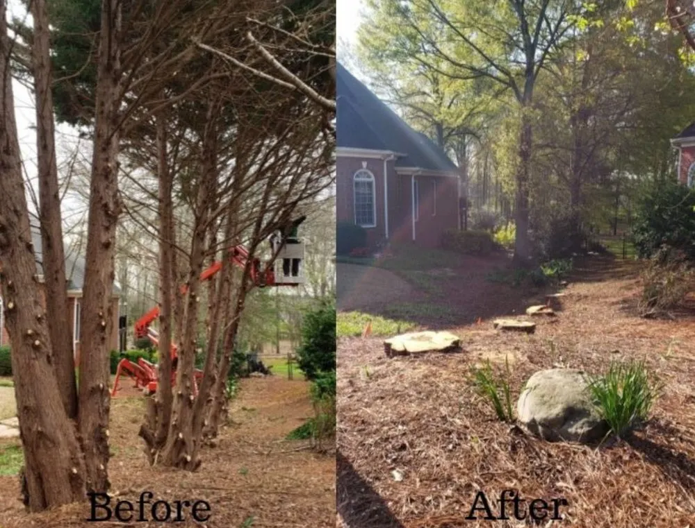 Trusted landscape installation in Cleveland, TX by Fa General Solutions