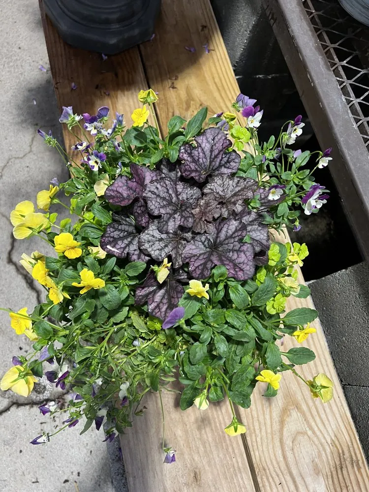 Affordable outdoor landscaping near you in Richmond, VA by F&A Landscaping Services