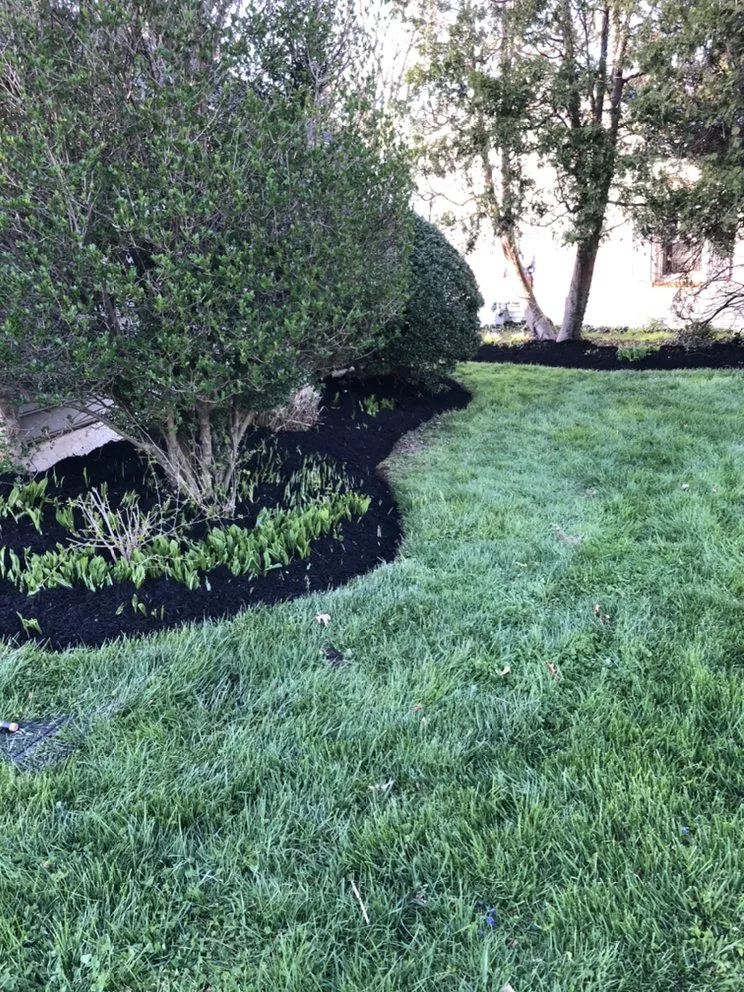 Professional yard cleanup service experts serving Norristown, PA - F&A Property Services