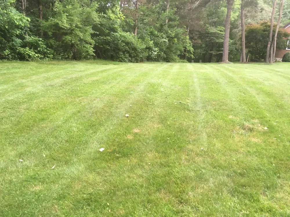 Local landscaping services near you in Norristown, PA by F&A Property Services