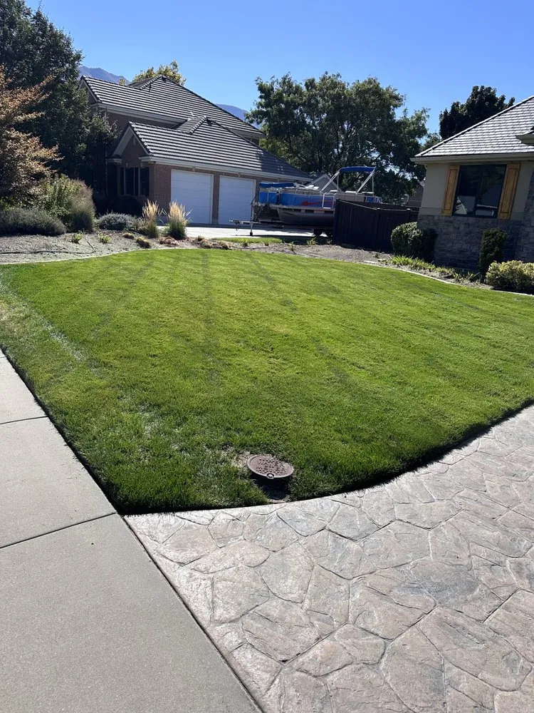 Top-rated yard cleanup service in Springville, UT - Faber Curb Appeal