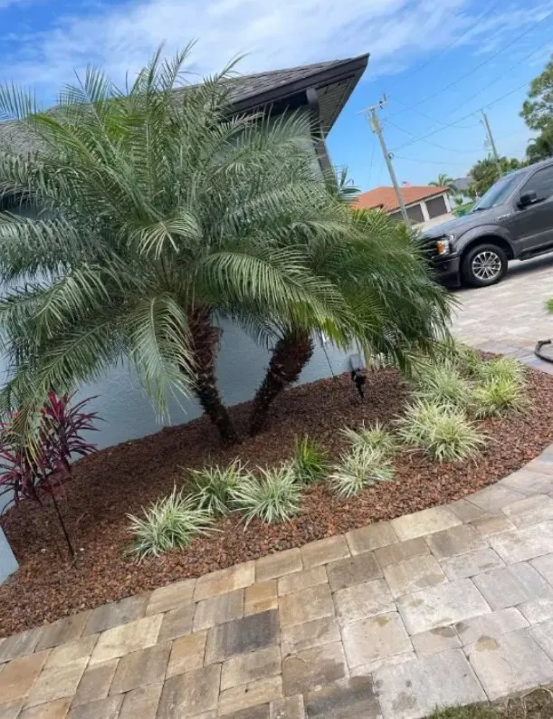 Local yard cleanup service experts serving Bokeelia, FL - Fabian Eduardo Landscaping