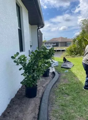 Fabian Eduardo Landscaping