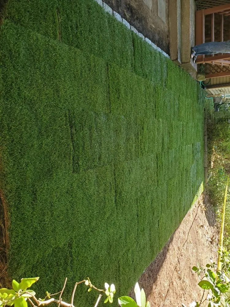 Reliable garden landscaping experts serving Worcester, MA - Fabiano Landscape Masonry