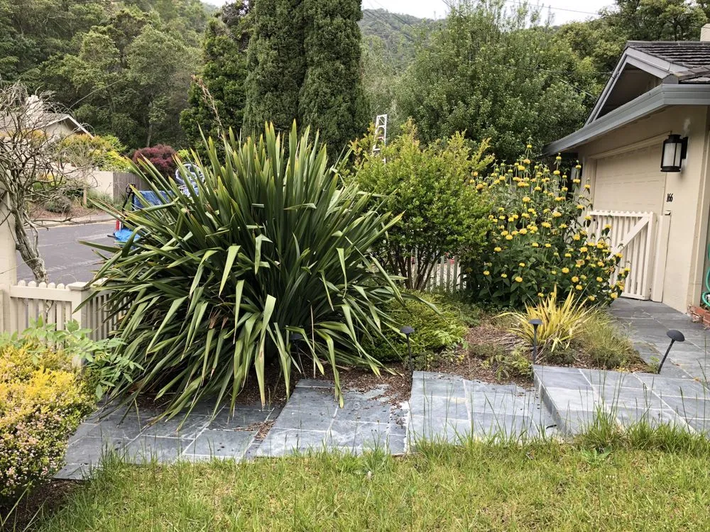 Local landscape installation in San Rafael, CA - Fabian's Gardening