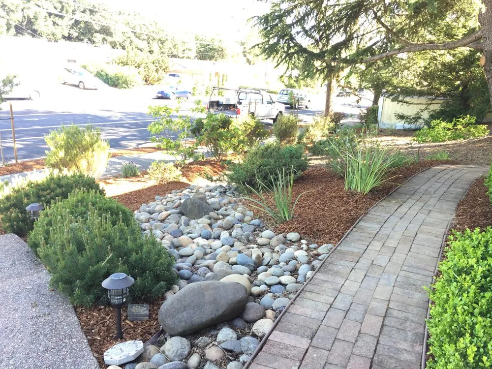 Top-rated lawn mowing service experts serving San Rafael, CA - Fabian's Gardening