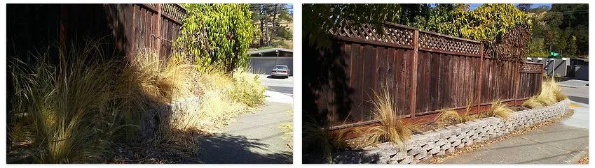 Professional residential landscaping near you across San Rafael, CA - Fabian's Gardening