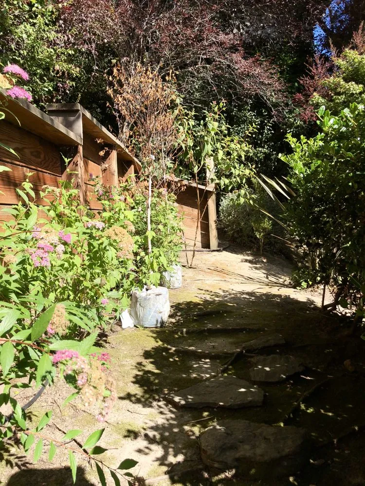 Professional outdoor landscaping for year-round maintenance across San Rafael, CA - Fabian's Gardening