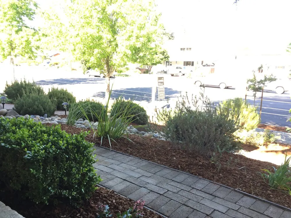 Affordable outdoor landscaping experts serving San Rafael, CA - Fabian's Gardening