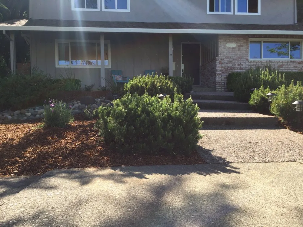 Professional landscape installation in San Rafael, CA by Fabian's Gardening