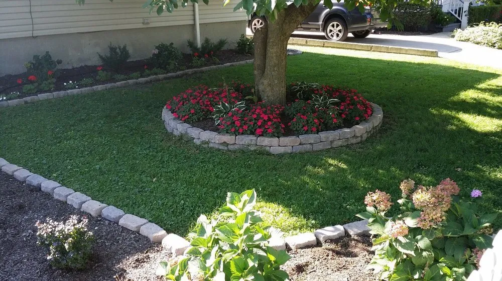 Local landscape design for residential properties in San Rafael, CA by Fabian's Gardening