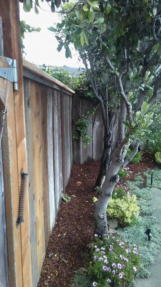 Trusted landscape design with custom design in San Rafael, CA by Fabian's Gardening