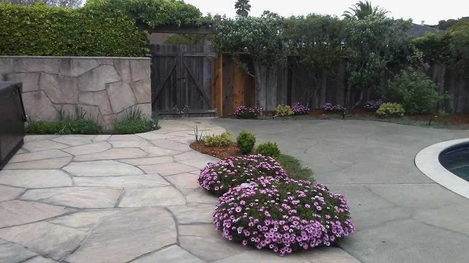 Affordable outdoor landscaping for year-round maintenance in San Rafael, CA by Fabian's Gardening