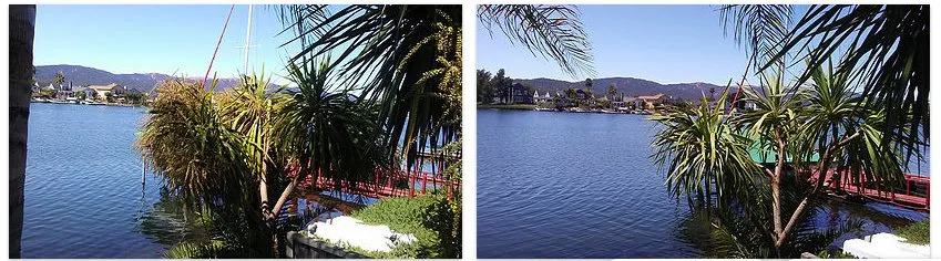 Trusted landscape design for residential properties across San Rafael, CA - Fabian's Gardening