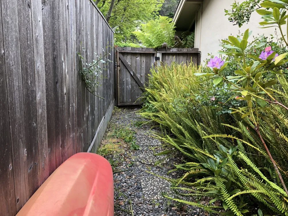 Expert lawn care service in San Rafael, CA by Fabian's Gardening