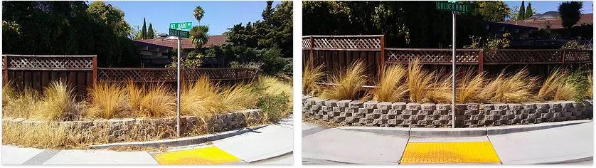 Custom landscaping services in San Rafael, CA by Fabian's Gardening