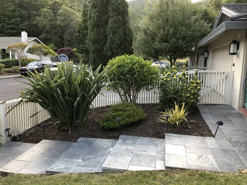 Trusted yard cleanup service for homes in San Rafael, CA by Fabian's Gardening