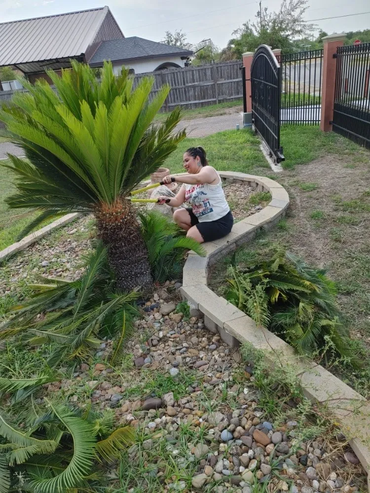 Trusted landscape installation in Mission, TX - Fabian's Lawn Care And Home Repairs