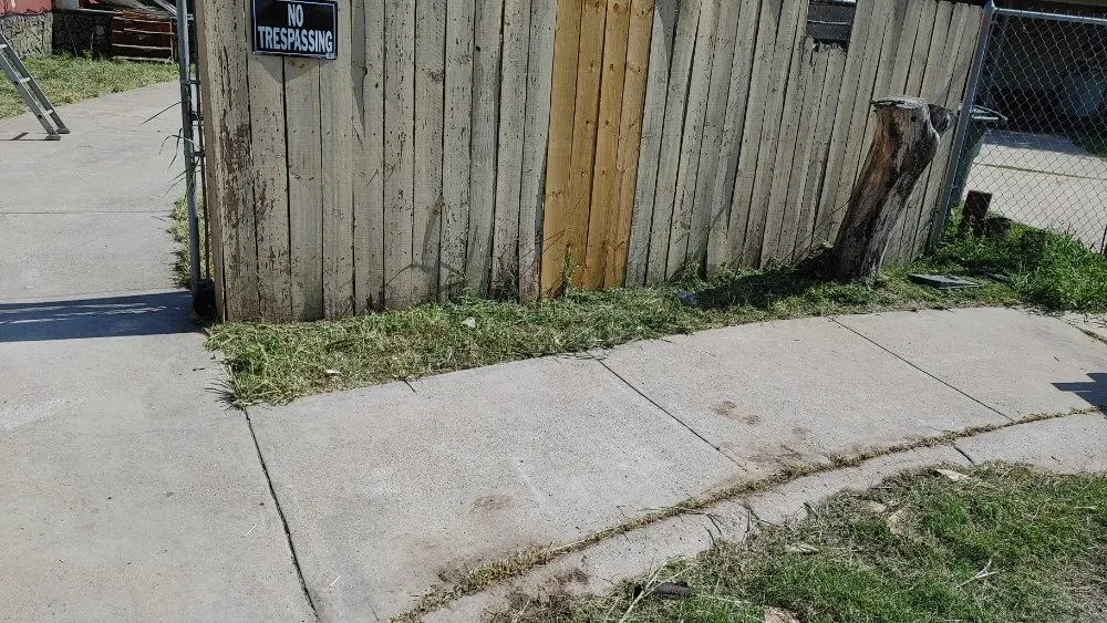 Top-rated yard cleanup service in Mission, TX by Fabian's Lawn Care And Home Repairs