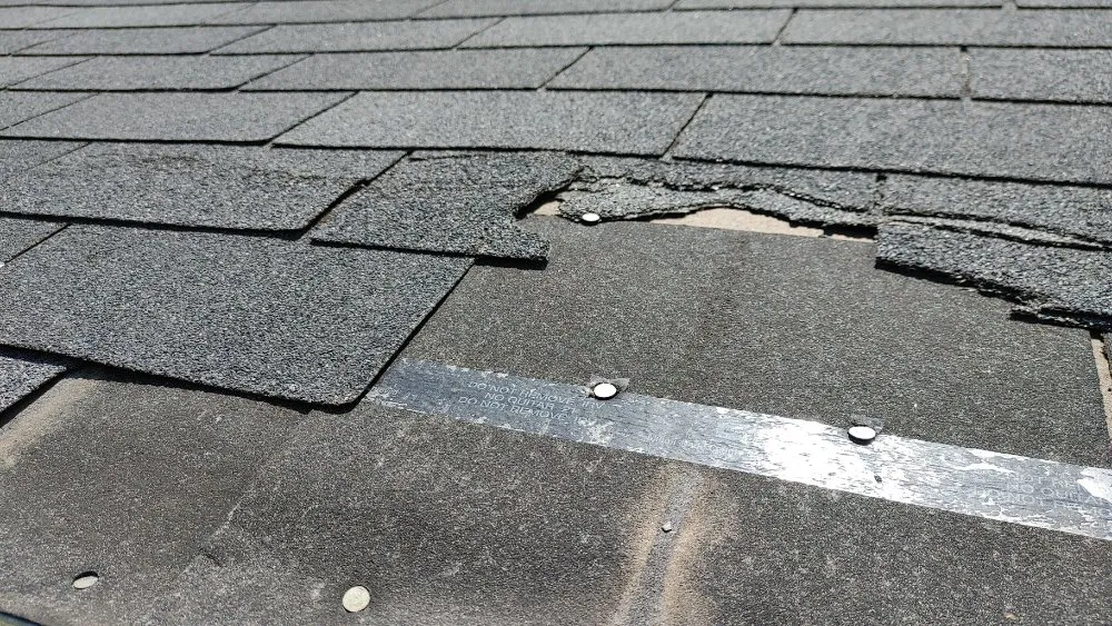 Top-rated yard cleanup service for beautiful yards in Mission, TX by Fabian's Lawn Care And Home Repairs