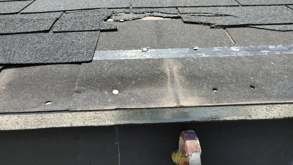 Professional outdoor landscaping experts serving Mission, TX - Fabian's Lawn Care And Home Repairs