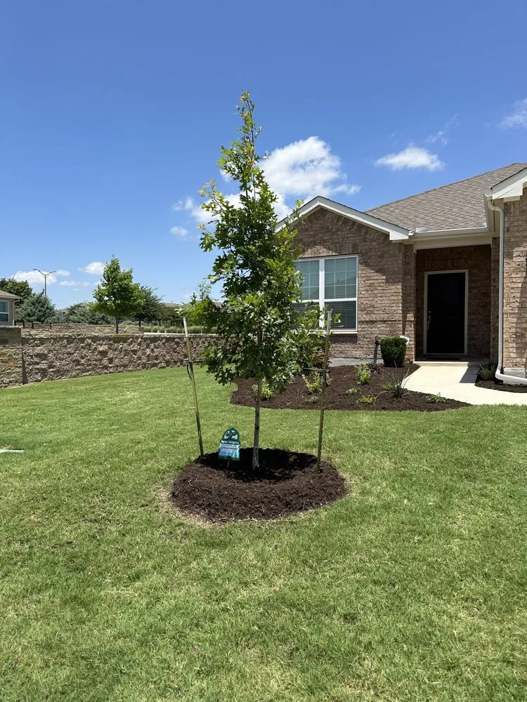 Professional lawn mowing service experts serving Pflugerville, TX - Fabians Lawn Service